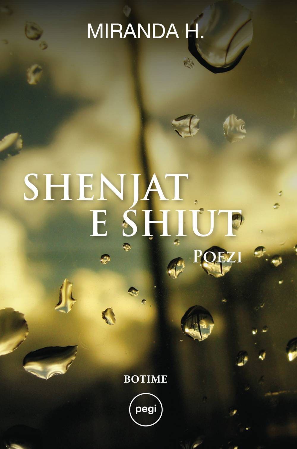 Shenjat e shiut